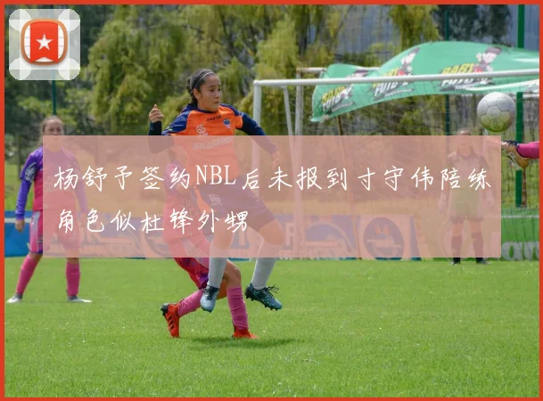 杨舒予签约NBL后未报到寸守伟陪练角色似杜锋外甥