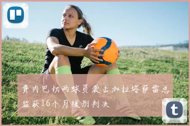费内巴切两球员袭击加拉塔萨雷总监获16个月缓刑判决