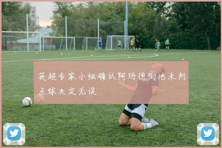 英超专家小组确认阿玛德倒地未判点球决定无误