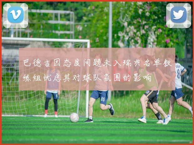 巴德吉因态度问题未入瑞典名单教练组忧虑其对球队氛围的影响