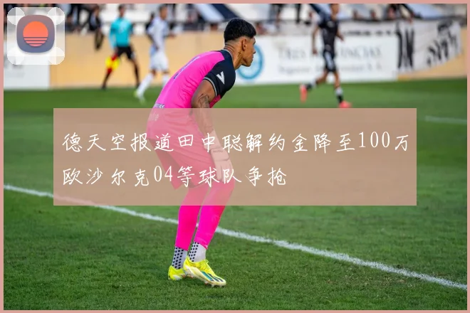 德天空报道田中聪解约金降至100万欧沙尔克04等球队争抢